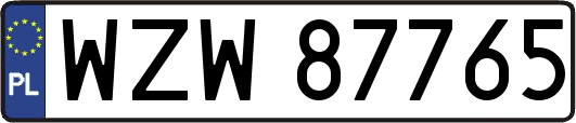 WZW87765