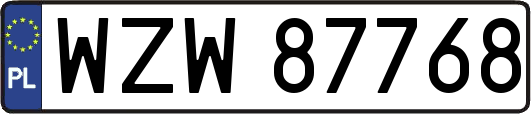WZW87768