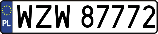 WZW87772