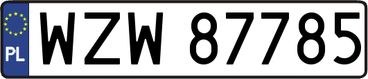 WZW87785