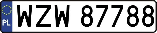 WZW87788