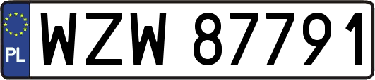 WZW87791