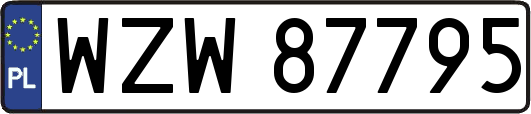 WZW87795