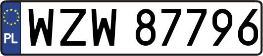 WZW87796