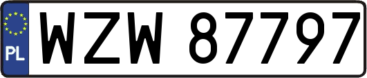 WZW87797