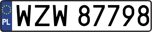 WZW87798