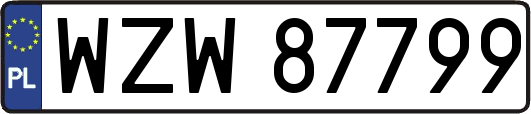 WZW87799