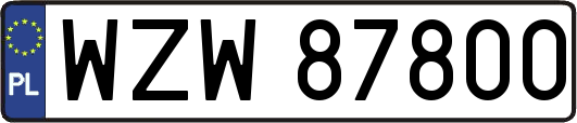 WZW87800