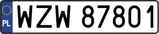 WZW87801