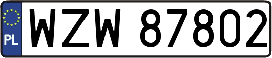 WZW87802