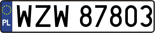 WZW87803
