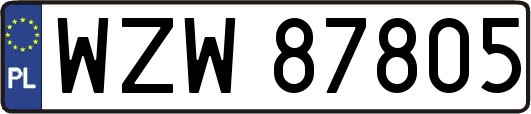 WZW87805