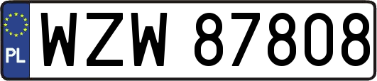 WZW87808
