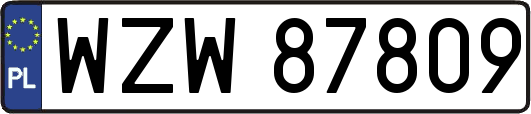 WZW87809