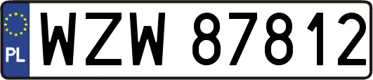 WZW87812