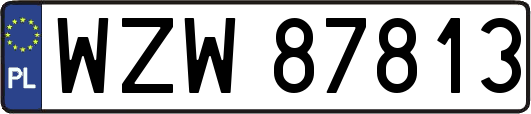 WZW87813