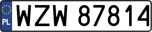 WZW87814