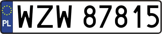 WZW87815