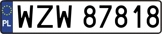 WZW87818