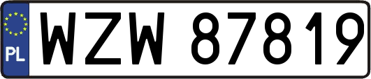 WZW87819