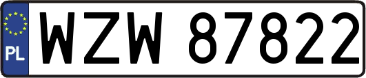 WZW87822