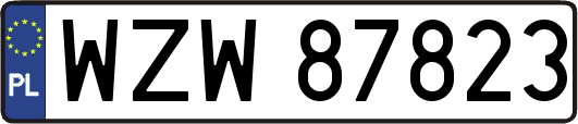 WZW87823