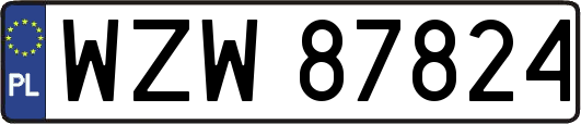 WZW87824