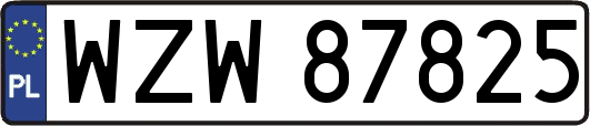 WZW87825