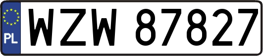 WZW87827