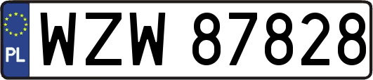 WZW87828