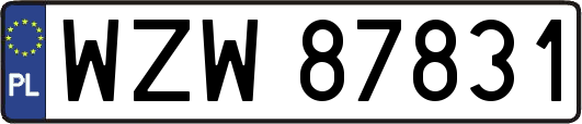 WZW87831