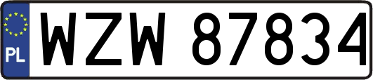 WZW87834