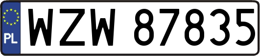 WZW87835