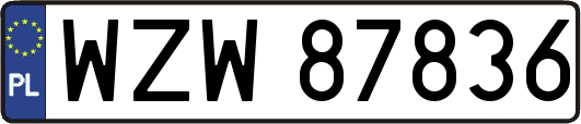 WZW87836
