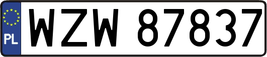 WZW87837