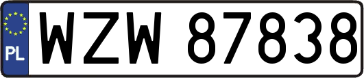 WZW87838