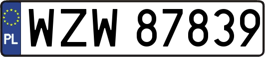 WZW87839