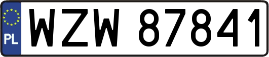 WZW87841