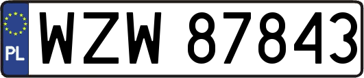 WZW87843