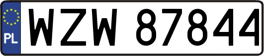 WZW87844