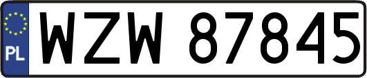 WZW87845