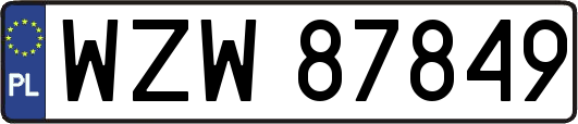 WZW87849