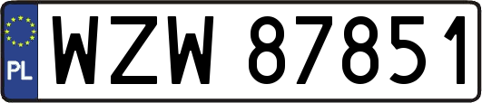 WZW87851