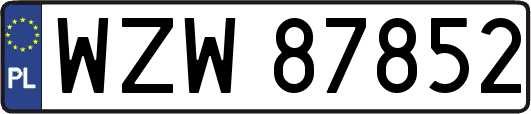 WZW87852