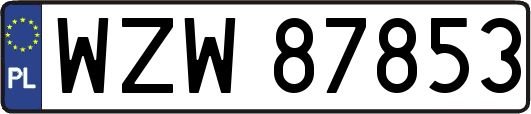 WZW87853