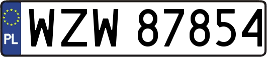 WZW87854
