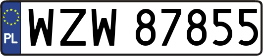 WZW87855