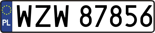 WZW87856