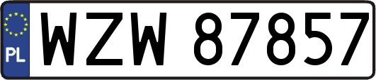 WZW87857