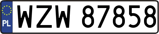 WZW87858